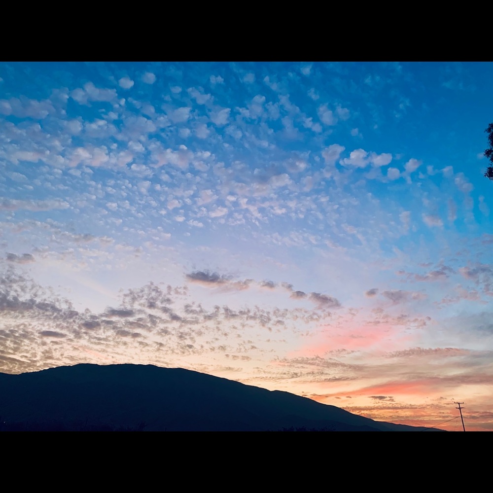 Meet your Posher, Destiny